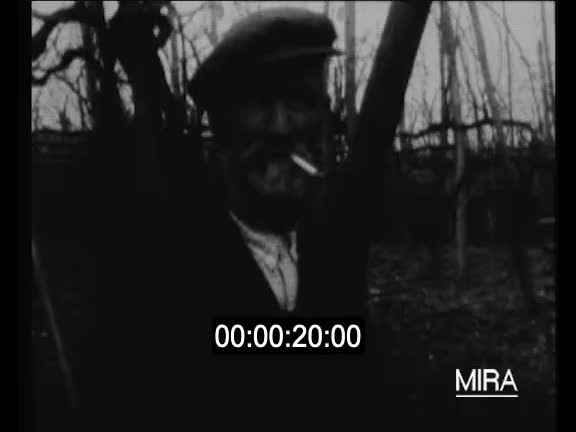 Pique-nique dans les vignes