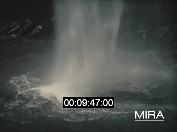 Compilation d'images du Brésil et en Afrique