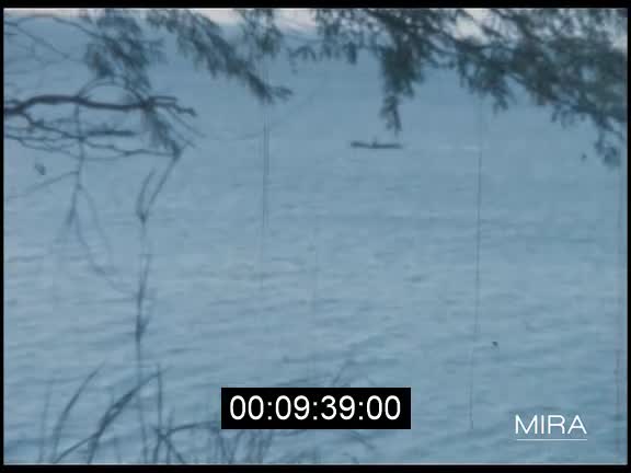 Croisière à bord du Mermoz