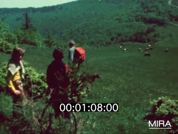 Excursion dans les Vosges