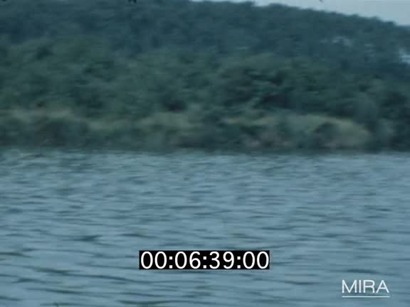 Vacances de l’été 1981 dans les Landes