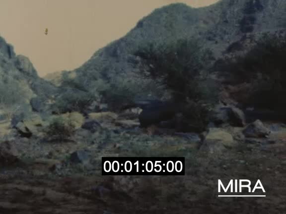 Randonnée en famille dans les montagnes tunisiennes