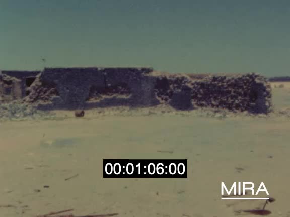 Visite d'un fort et d'un char d'assaut