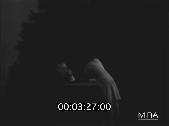 Activités aquatiques - Réunions familiales et amicales