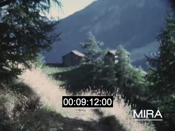 Vacances d'été dans les Vosges et les Alpes suisses
