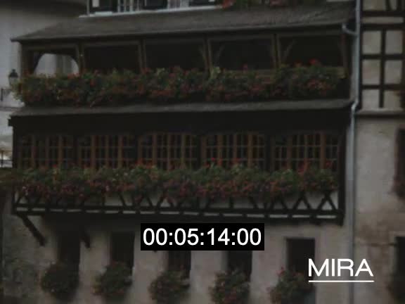 Petite enfance - Corsos à Rosheim - Escalade alpine