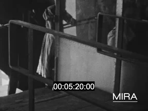Schaffhouse, ascension du Zugspitze et visite routière de Berlin occupée