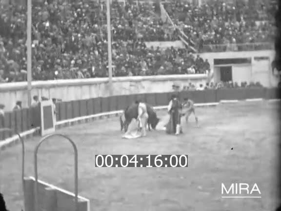 Corridas aux arènes de Nîmes et d'Arles
