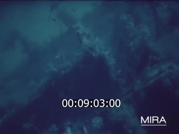 Parallèle 40 à 42 - Plongée sous-marine en Méditerranée