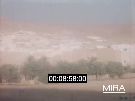 Voyage au Sahara et en Afrique occidentale