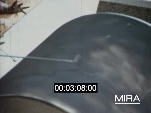 Excitation électrique du muscle