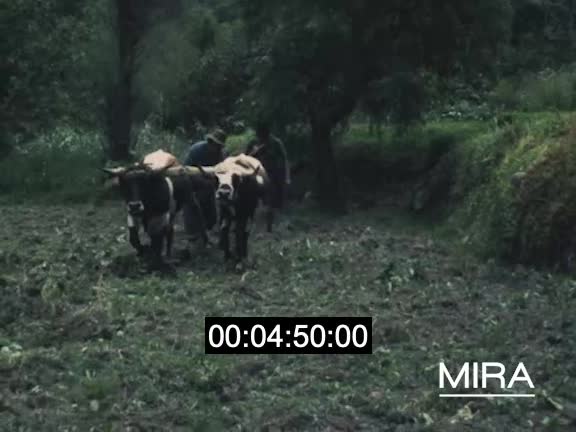 Traditions andines : Altiplano - agriculture - artisanat
